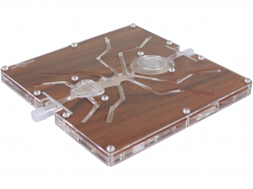 ANTCUBE - PF 20 M  - Ant - Edelholz